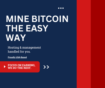 LargeRectangle(336x280) - Ad 1